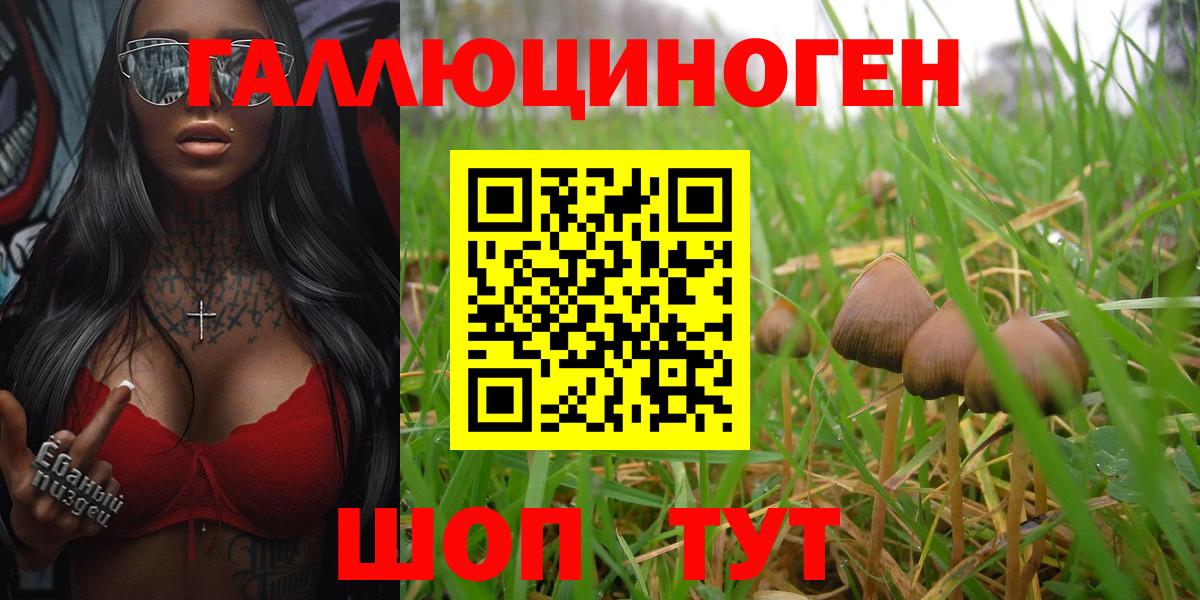 Псилоцибиновые грибы мухоморы  Псилоцибиновые грибы Psilocybine cubensis  Вход с VPN  Мценск 